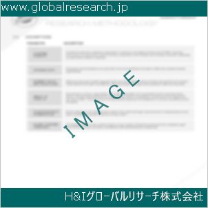 グローバルリサーチ調査資料のイメージ